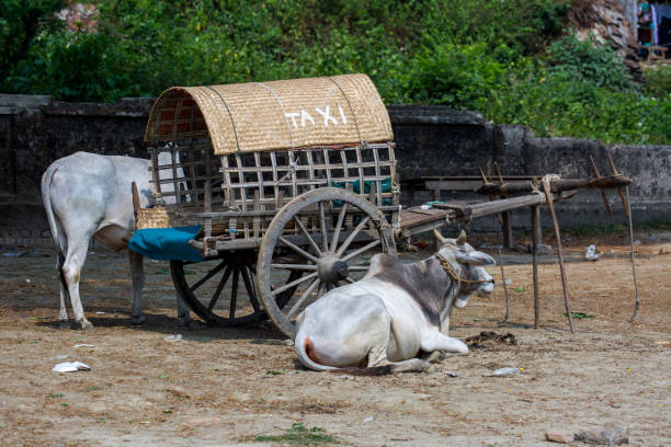 A rustic taxi parked on the shore of the Irrawaddy River (Ayeyarwady River) at Mingun.