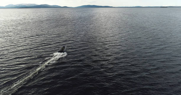 istock Tourist Driving and Maneuvering on Inflatable Boat 989957396