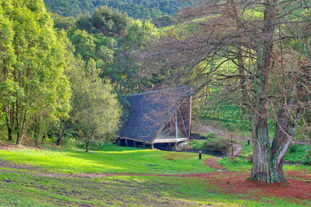 istock Dreamy landscape in autumn at the park 989960532