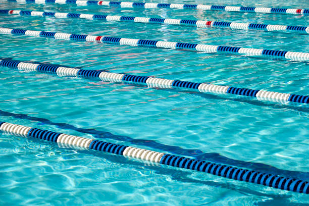 istock Swimming pool for the swim meet 989961146