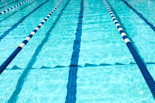 istock Swimming pool for the swim meet 989961214