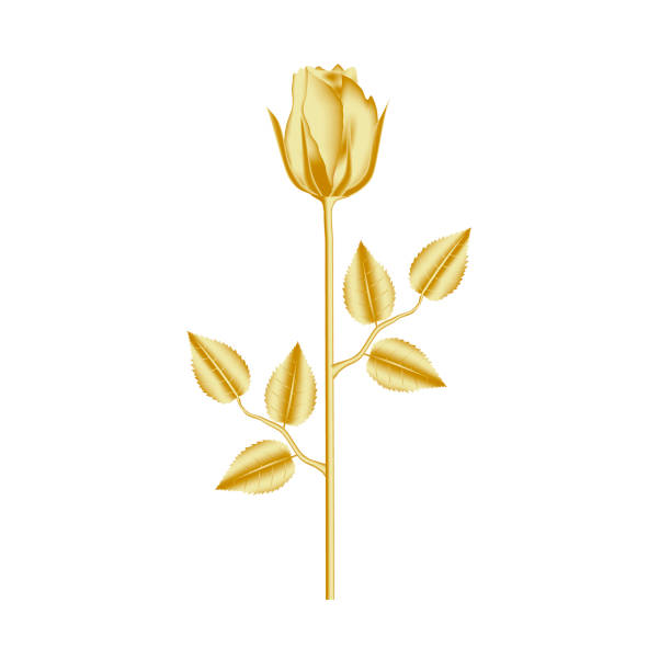 istock Beautiful golden rose flower with petals, stem and leaves. Realistic 3d design on white background. 989984576