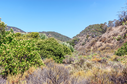 Southern California hiking trails on clear summer morning with heat rising in the tall brush and mountain hills.