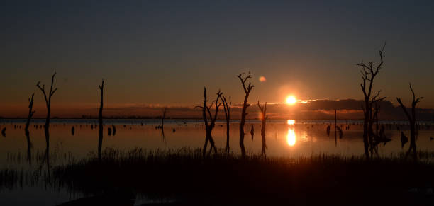 istock Sundown at Kow Swamp 989993798
