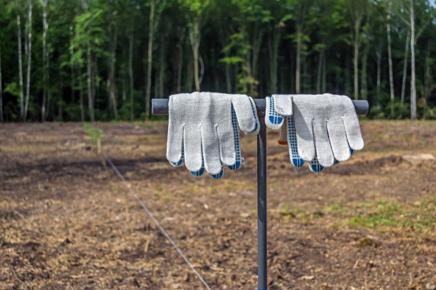 A single glove left behind by a walker