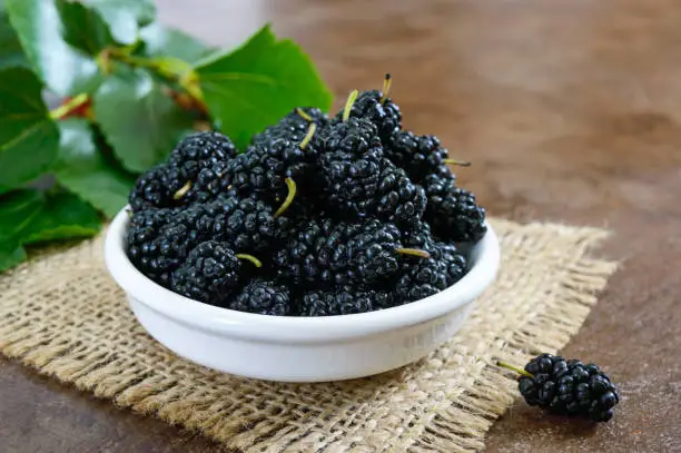 Photo of Ripe black mulberry in a bowl. Close-up.