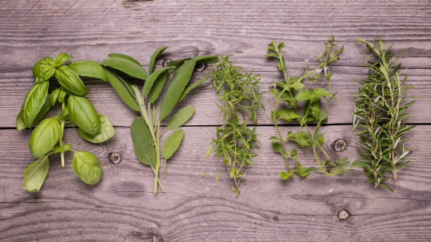 istock variety of plants and fresh aromatic herbs in the kitchen 990100624
