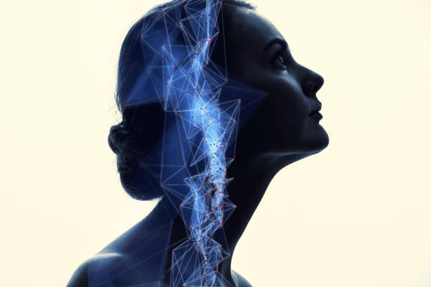 Communication network concept. AI(Artificial Intelligence). Communication network concept. AI(Artificial Intelligence). nervous system concept stock pictures, royalty-free photos & images