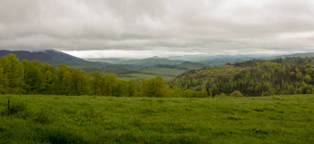 istock Cloudy weather in the mountains, Ukrainian Carpathians 990116268