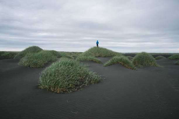 istock Iceland Landscape with sand dunes overcast day 990117278
