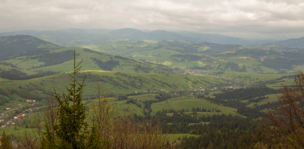 istock Cloudy weather in the mountains, Ukrainian Carpathians 990117520