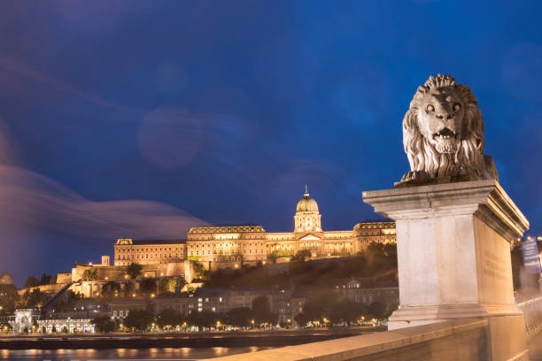 vue de nightime de budapest, en hongrie, du palais royal en arrière-plan et stone statue de lion - nobility royal palace of buda budapest palace photos et images de collection