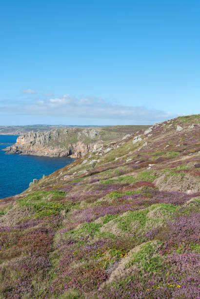 istock view of the landscape at Lands End in Cornwall 990122928