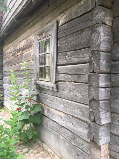istock Old wooden wall rustic house village 990129218