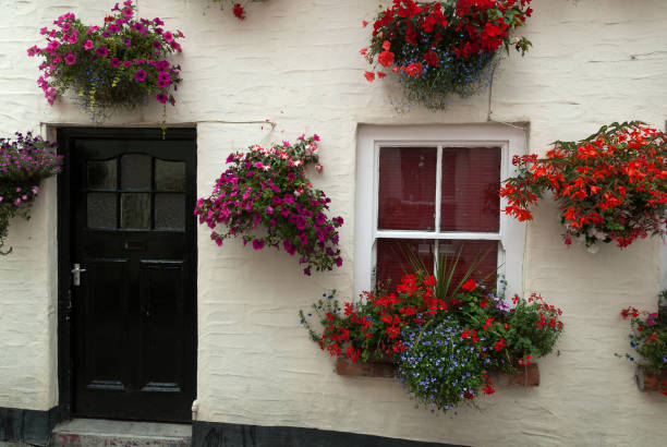 istock houses in the Padstow in Cornwall 990150602