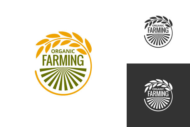 ilustrações, clipart, desenhos animados e ícones de logotipo de produto agrícola. ícone de produzir comida fresca agricultura definir plano de fundo - trigo