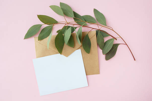 istock Letter for text with envelope with eucalyptus branch on pink background 990165686