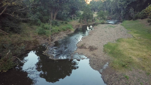 istock Blue green creek surrounded by muddy dune green forest trees on a sunny day 990174160