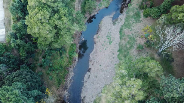 istock Blue green creek surrounded by muddy dune green forest trees on a sunny day 990174212