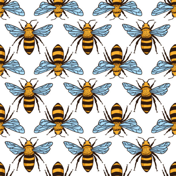 vektor musterdesign mit bienen. schwarze und gelbe textur - bee flower backgrounds golden sunflower stock-grafiken, -clipart, -cartoons und -symbole