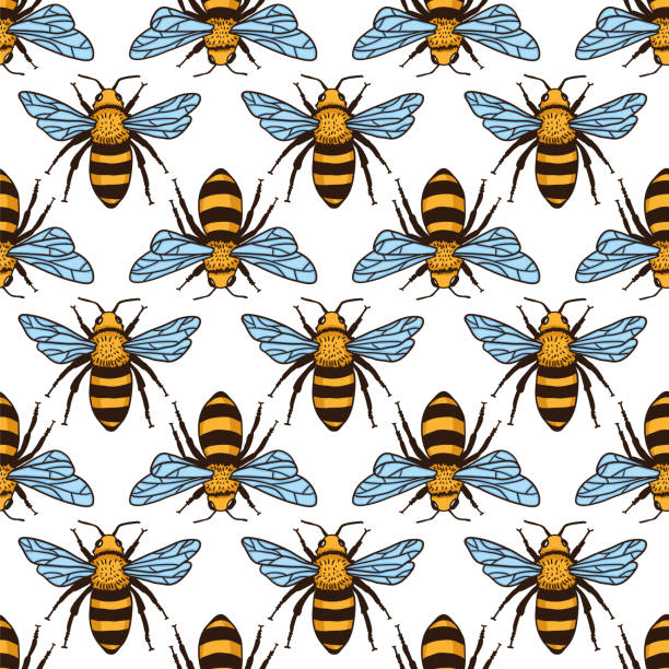 꿀벌과 벡터 완벽 한 패턴입니다. 검정색과 노란색 텍스처 - bee flower backgrounds golden sunflower stock illustrations