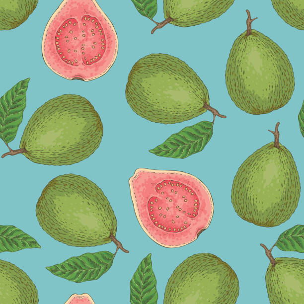 Guava Pattern 1,200+ Guava Pattern Stock Illustrations, Royalty-Free Vector Graphics ...