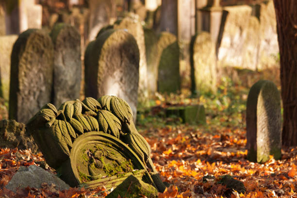 istock Jewish cemetery with matzevot 990218236