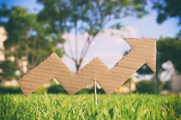 istock image of increasing arrow graph in the grass. eco and environmental concept. 990227268