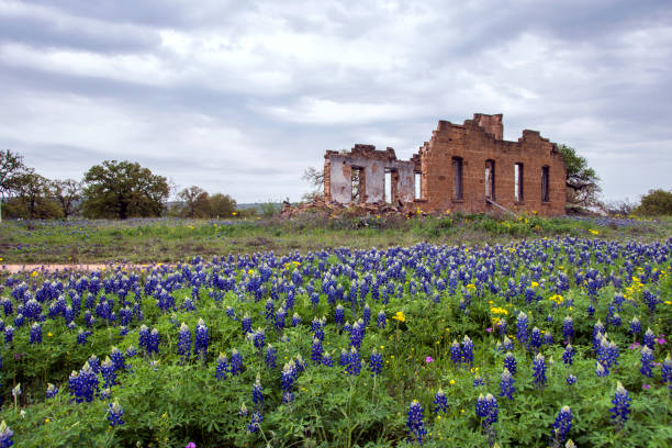 Hill country ghost town after 1947 fire surrounded by wildflowers.