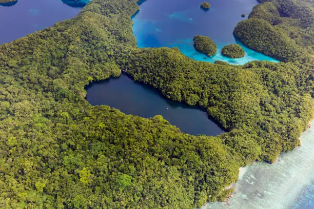 Palau Jellyfish Lake - World heritage site -