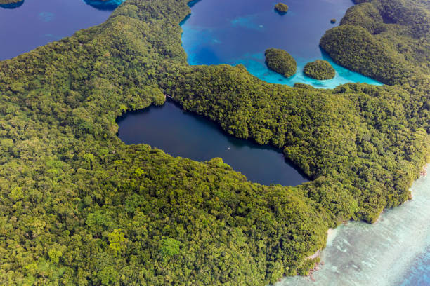 palau jellyfish lake - world heritage site - - micronesia lagoon palau aerial view imagens e fotografias de stock