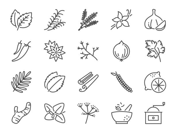 ilustrações de stock, clip art, desenhos animados e ícones de spices and herbs icon set. included icons as basil, thyme, ginger, pepper, parsley, mint and more. - chili pepper illustrations
