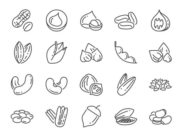 nüsse, samen und bohnen-icon-set. ikonen wie basilikum, thymian, ingwer, pfeffer, petersilie, minze und mehr enthalten. - pine nut stock-grafiken, -clipart, -cartoons und -symbole