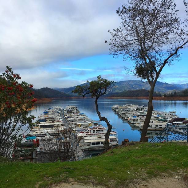 istock Bridge Bay on Shasta Lake 990258784