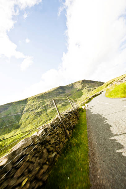 die große und schöne natur: schafe auf der bundesstrasse - italian lake district stock-fotos und bilder