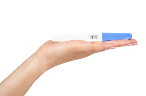 白い背景に、2 つの行に分離の手で肯定的な妊娠検査。 - pregnancy test human pregnancy two objects isolated ストックフォトと画像