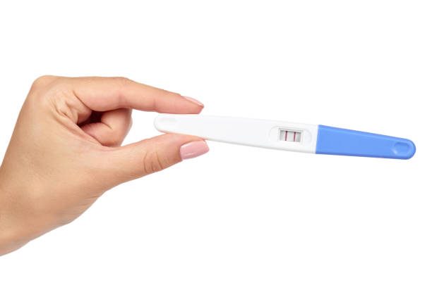 白い背�景に、2 つの行に分離の手で肯定的な妊娠検査。 - pregnancy test human pregnancy two objects isolated ストックフォトと画像