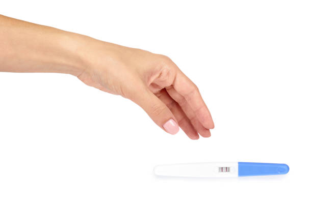 白い背景に、2 つの行に分離の手で肯定的な妊娠検査。 - pregnancy test human pregnancy two objects isolated ストックフォトと画像
