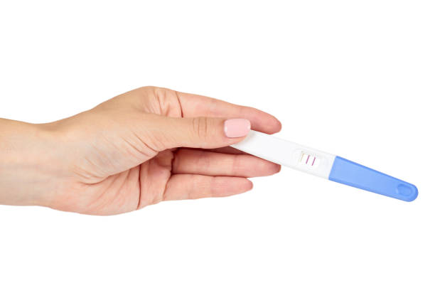 白い背景に、2 つの行に分離の手で肯定的な妊娠検査。 - pregnancy test human pregnancy two objects isolated ストックフォトと画像