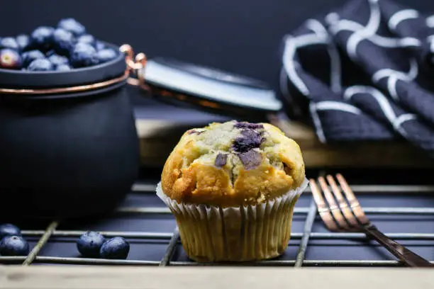 These are yummy blueberry muffins.