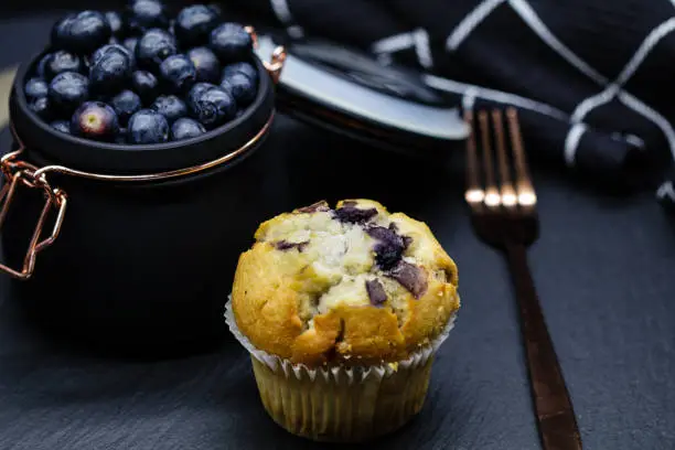 These are yummy blueberry muffins.