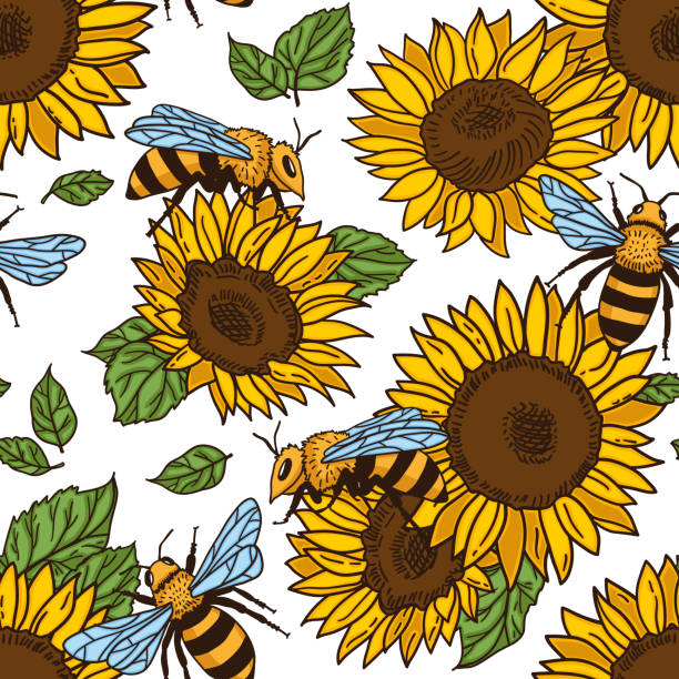 꿀벌과 해바라기 벡터 완벽 한 패턴입니다. 검정색과 노란색 텍스처 - bee flower backgrounds golden sunflower stock illustrations