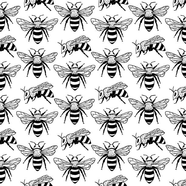 vektor musterdesign mit bienen. schwarz / weiß-textur - bee flower backgrounds golden sunflower stock-grafiken, -clipart, -cartoons und -symbole