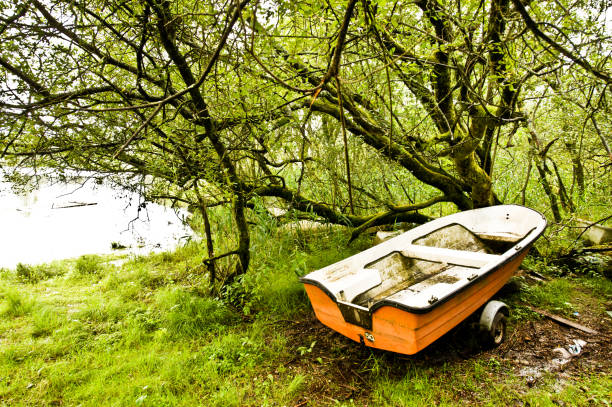 coloré bateau désaffecté dans les bois - lakedistrict photos et images de collection