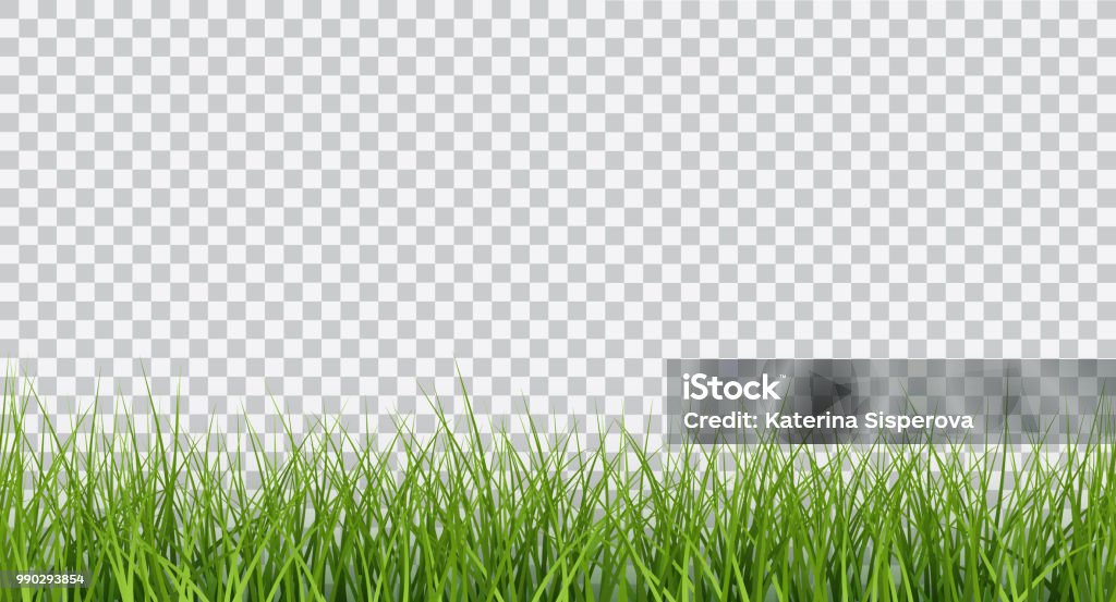 Vector bright green realistic seamless grass border isolated on transparent background Grass stock vector