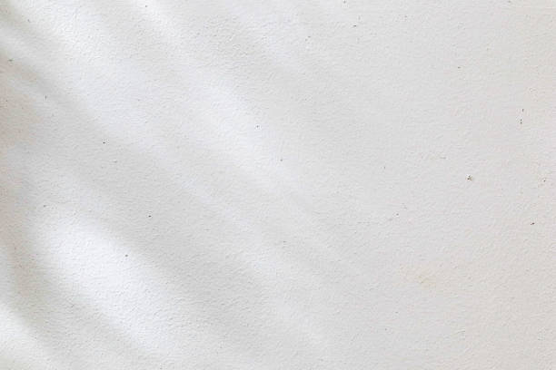 Black and White abstract background textuer of shadows leaf on a concrete wall.