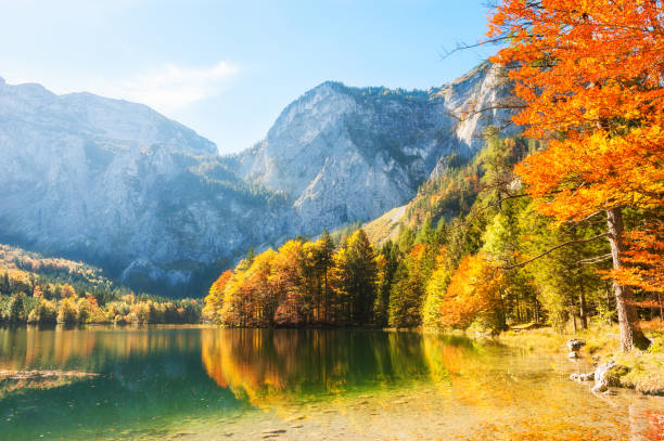 アルプス、オーストリアの湖の岸にカラフルな秋の木々。 - european alps austria autumn colors ストックフォトと画像