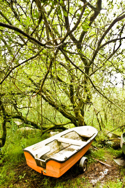 coloré bateau désaffecté dans les bois - lakedistrict photos et images de collection