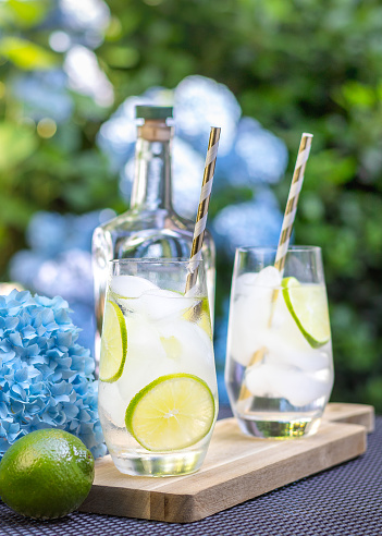 Alcoholic drink gin tonic cocktail with lime, ice and straws on a wooden board on a garden table, copy space