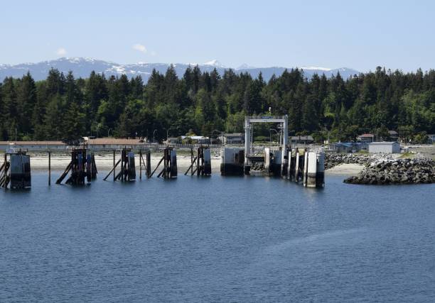 istock Comox Ferry dock at the shore in Little River, Vancouver Island 990309294